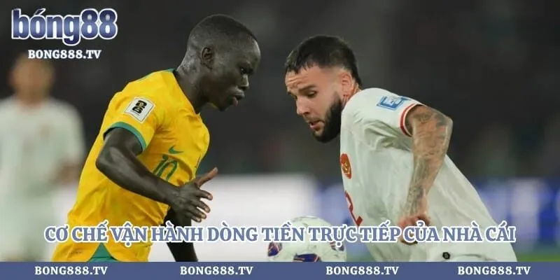 Kèo Rung - Chiến Thuật Đầu Tư An Toàn Từ Chuyên Gia Hình số 3 tại amazingpic.in Cơ chế vận hành dòng tiền trực tiếp của nhà cái
