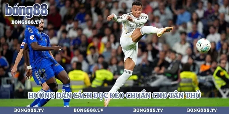 Kèo Tài Xỉu - Hướng Dẫn Soi Tỷ Lệ Bóng Đá 100% Thắng Hình số 3 tại amazingpic.in Hướng dẫn cách đọc kèo chuẩn cho tân thủ