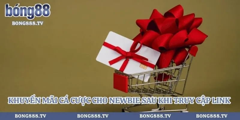 8live - Cách Tìm Link Vào Nhà Cái Không Bị Chặn 2026 Hình số 4 tại amazingpic.in Khuyến mãi cá cược cho newbie sau khi truy cập link chuẩn